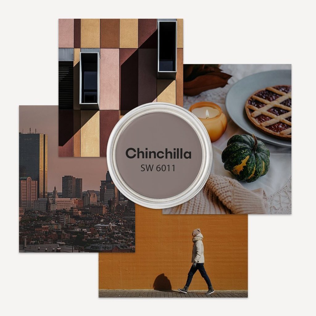 SW 6011 Chinchilla